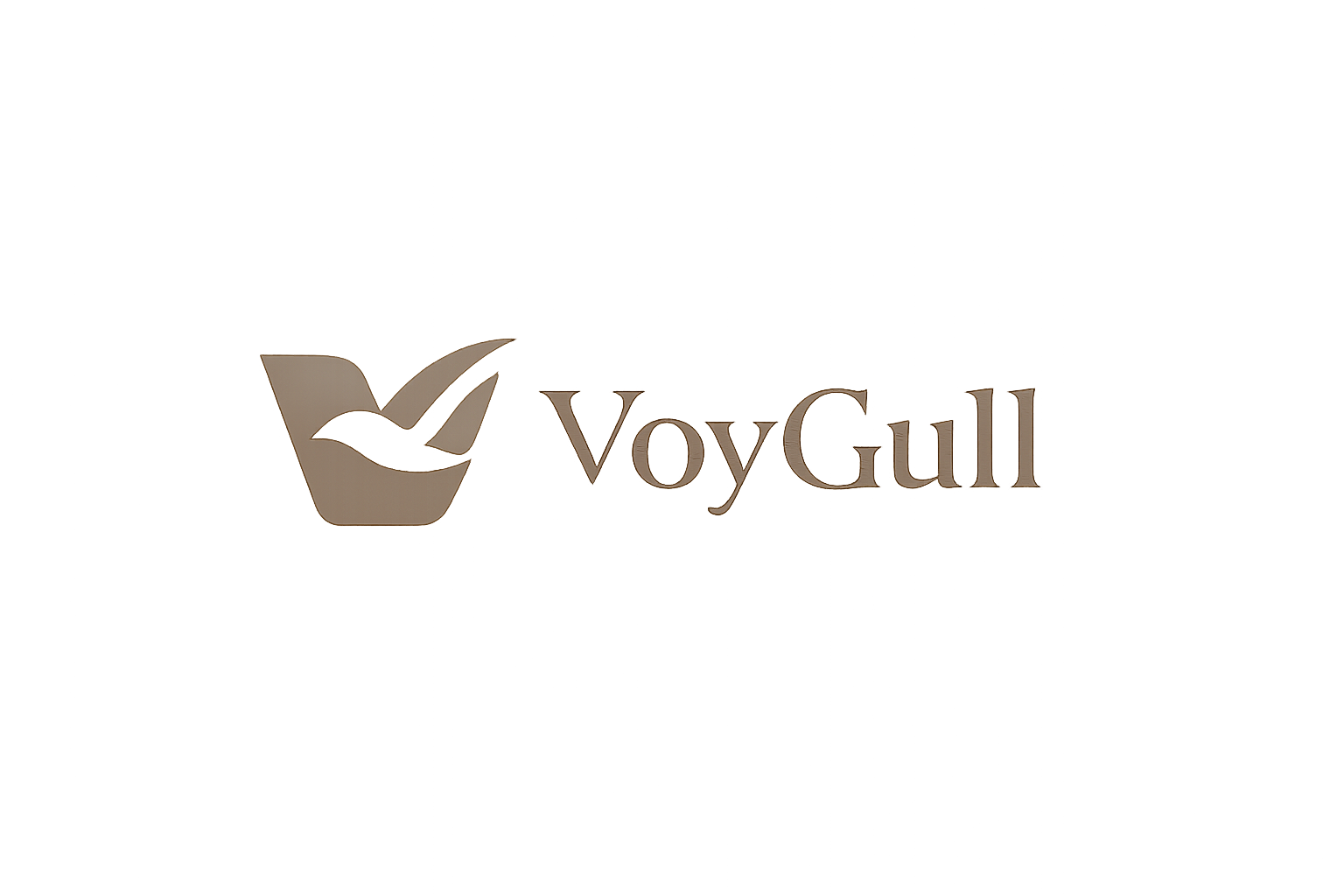 The VoyGull Logo